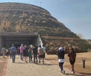 ヨハネスブルグ発：人類発祥の地プライベート半日ツアー