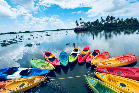 喀拉拉冒险之旅：科钦附近的水上运动体验喀拉拉探险之旅：科钦附近的水上运动体验