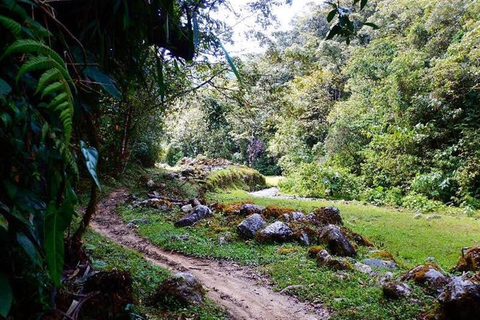 Medellin: Amazing Arvi Natural Reserve