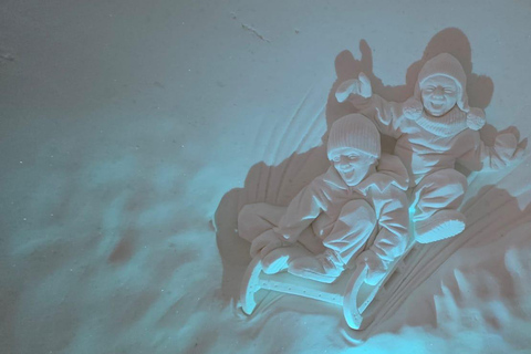 Levi: Private Snow Village tour. Northern lights possibility