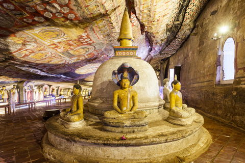 Sri Lanka - Visite privée de 5 jours avec expériences localesCette option comprend le transport privé, les repas, les hôtels, le guide.