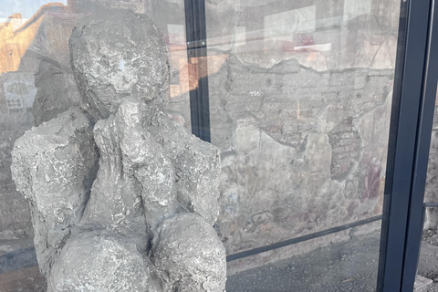 From Naples: Pompeii and Matera Day Trip with Transfer From Matera to Naples: Transfer & Pompeii Ticket