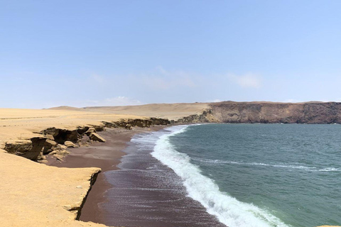 Paracas: Private Paracas National Reserve Tour