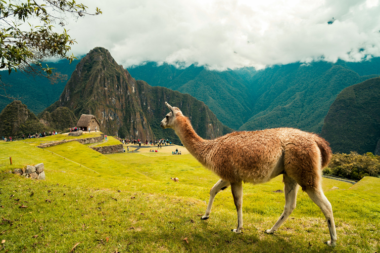 Machu Picchu Day Trip From Cusco
