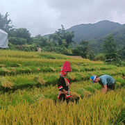 From Halong: 3-Day Binh Lieu Trekking Tour with Meals From Halong: 3-Day Binh Lieu Trekking Tour with Meals