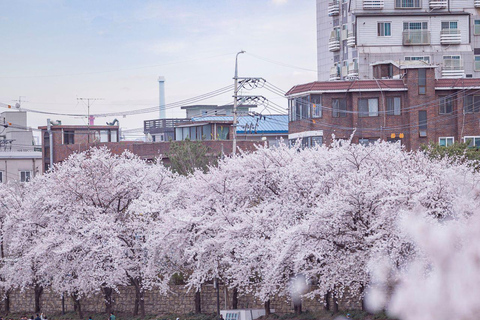 Seoul: Bongeunsa-templet Bongeunsa-templet och Gourmet kvällstur i Gangnam