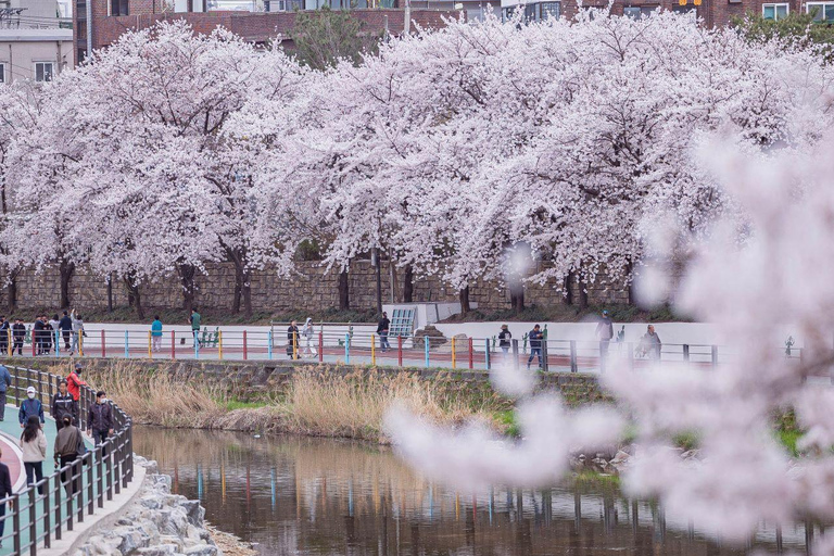 Seoul: Bongeunsa Tempel und Gourmet Nachttour in Gangnam