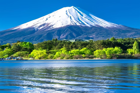 Mount Fuji Full-Day Private Tour from Tokyo (Customizable) Luxury Toyota Crown or SAI
