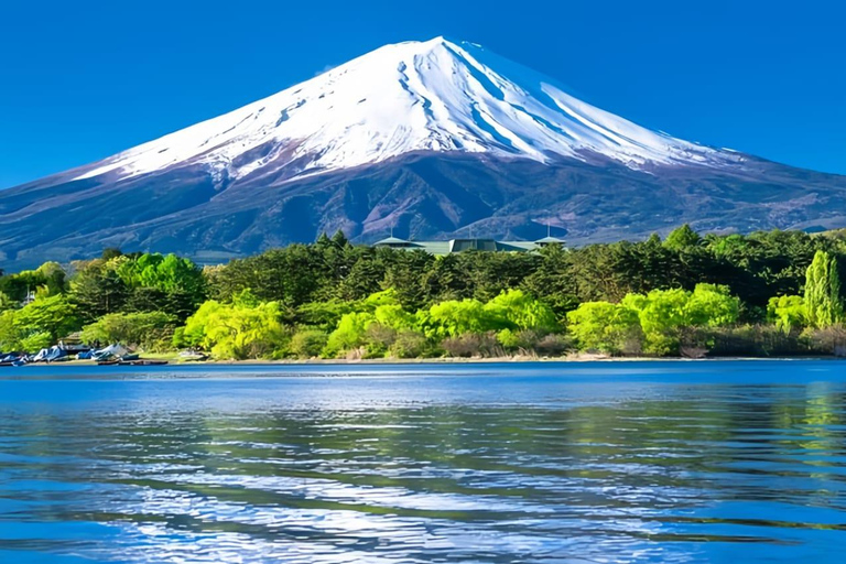 Mount Fuji Full-Day Private Tour from Tokyo (Customizable) Luxury Toyota Crown or SAI