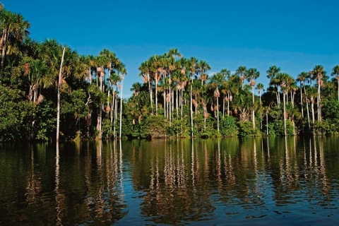 Tambopata: Lago Sandoval und Colpa von Loros 3 TageEco jungla 3 Tage 2 Nächte