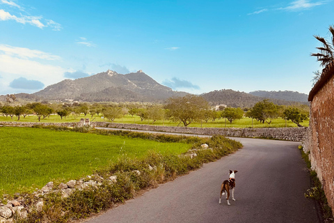 Hiking tour with a dream view of the former monastery of Sant Salvador, 3-4 hours. Hiking tour with fantastic views to the former Sant Salvador monastery 3-4 hrs.