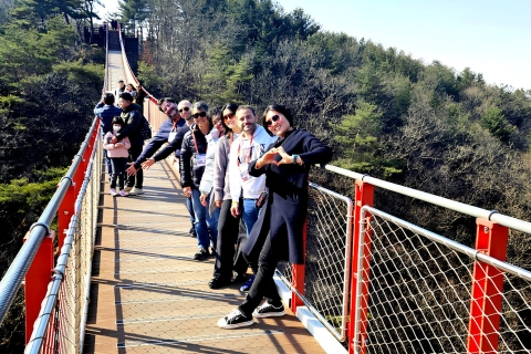 Desde Seúl: Excursión al 3er Túnel y Puente Colgante de la DMZPunto de encuentro: Salida 2 de la estación Hongik Univ.