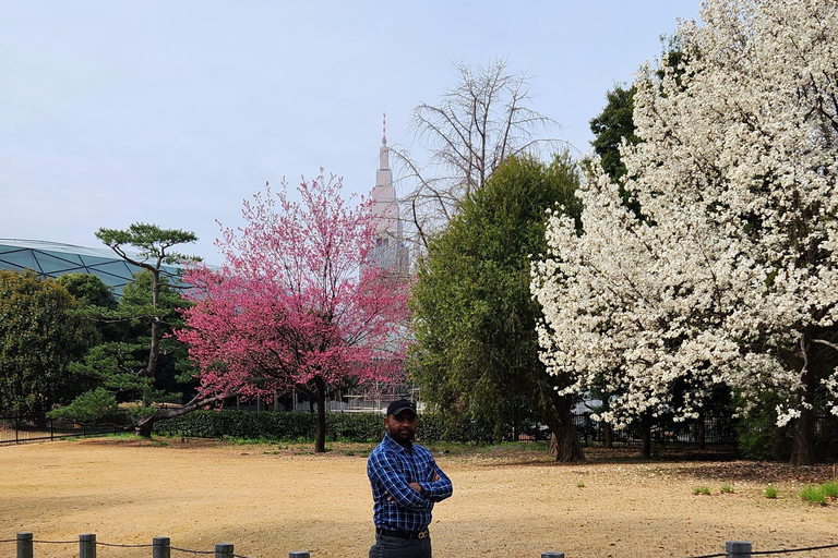 Tour privato di un giorno dei luoghi più famosi di TokyoTour privato di un giorno dei luoghi famosi di Tokyo