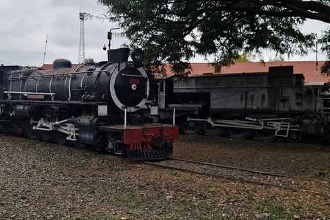 Ville de Nairobi : visite guidée culturelle et historique à pied