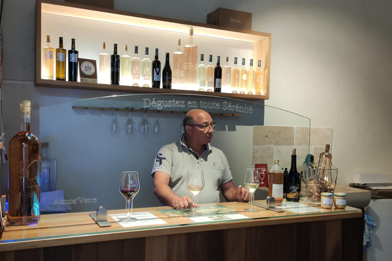 Port Grimaud & Provence Wine Private Tour | Little Venice