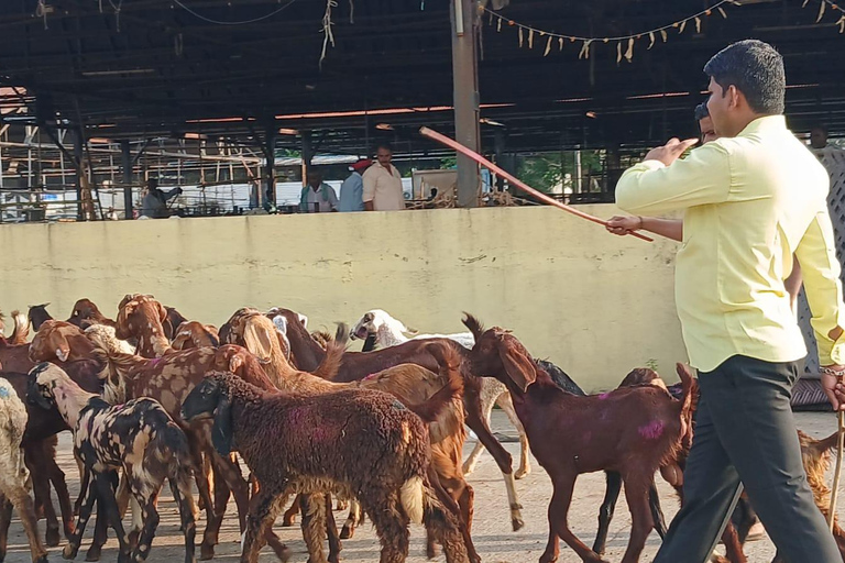 Bombay: Visita guiada al Matadero de Deonar