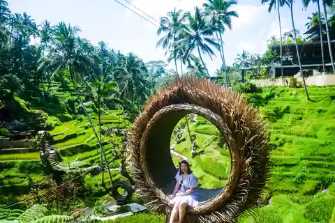 Bali : Kintamani, Tegalalang et plantation de café