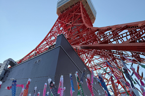 Tokyo: Customizable, Enjoyable and Memorable Private Tour