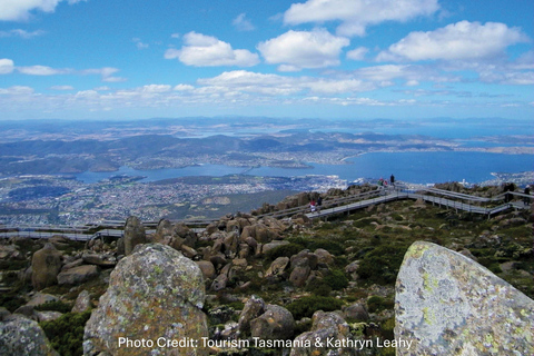 Hobart: Mt Wellington & MONA (Private Tour)
