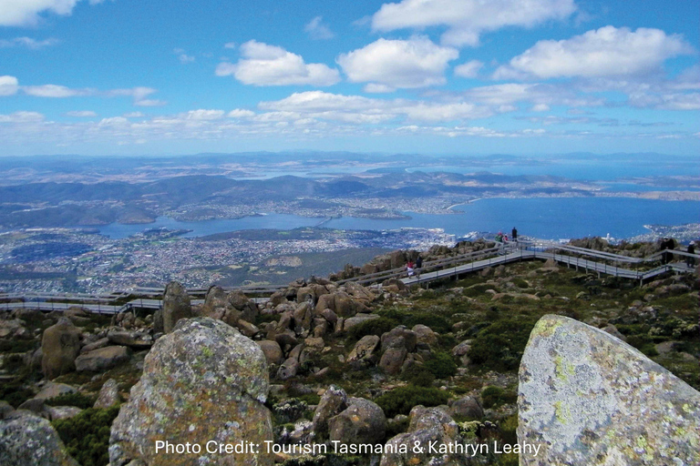 Hobart: Mt Wellington & MONA (Private Tour)