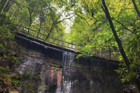 Shanghai: Moganshan Bamboo Hike with 1920s Villas private tour option