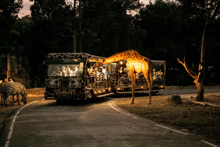 Chiang Mai: Ticket für die Nachtsafari mit HoteltransferChiang Mai: Ticket für die Nachtsafari mit Transfer vom Hotel