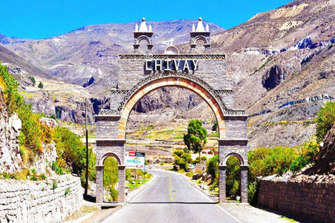 Desde Arequipa: Tour de 1 día al Cañón del Colca + Almuerzo Buffet