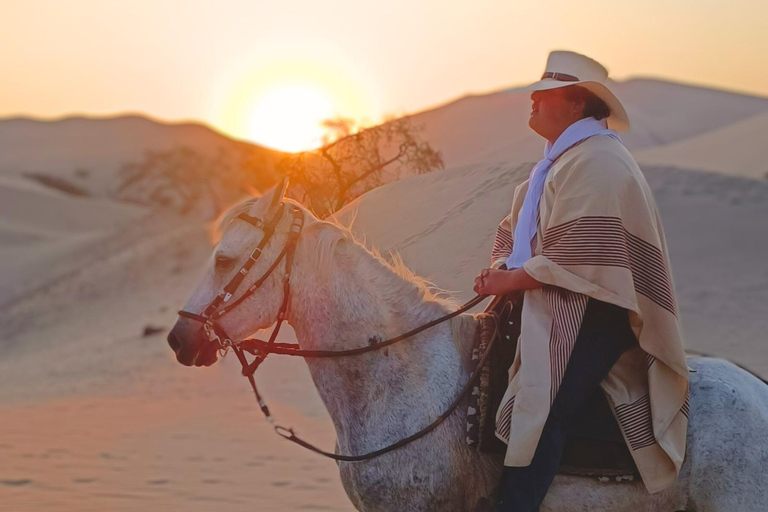 Ica Tour: Tradition and horseback riding of the Peruvian Paso Horse