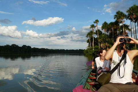 Sandoval Lake Canoe Excursion-Black Caimans