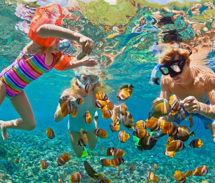 Two children and an adult snorkelling just below the surface, masks on, surrounded by a shoal of yellow and black striped fish