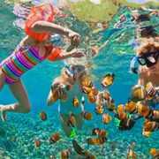 Cartagena: 6 Stopps: Rosario-Inseln, Schnorcheln, Aquarium & Mittagessen