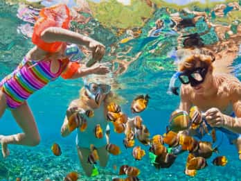 Cartagena: 6 paradas en las Islas del Rosario, Oceanario, almuerzo y snorkel