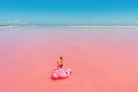 Cancun: Las Coloradas & Rio Lagartos Day Tour & À la carte