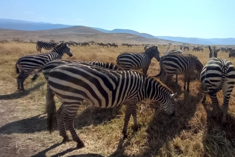 4 Tage Tarangire-, Ngorongoro- und Serengeti-Nationalpark
