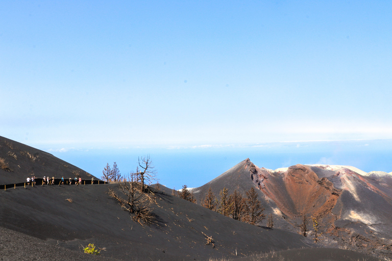 Tajogaite Volcano, the Essential Route: 3-Mile (5-Kilometer) Short Version