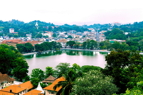 Kandy: All-day Ambuluwawa and Kandy City Tour by Tuk-Tuk