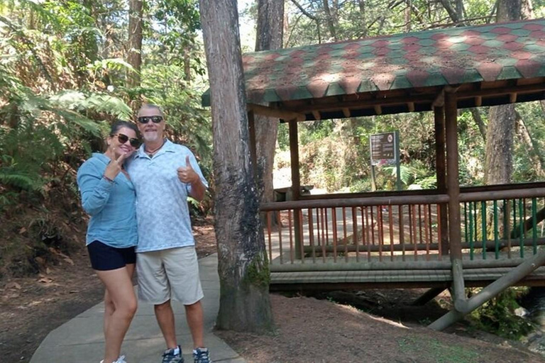 Medellin: Amazing Arvi Natural Reserve