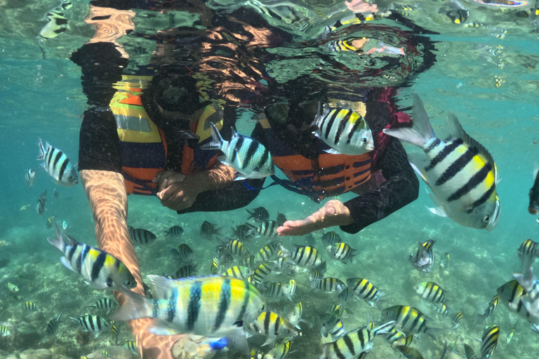 Lombok Secret Gilis Snorkeling –Jet Ski Available as Add-On