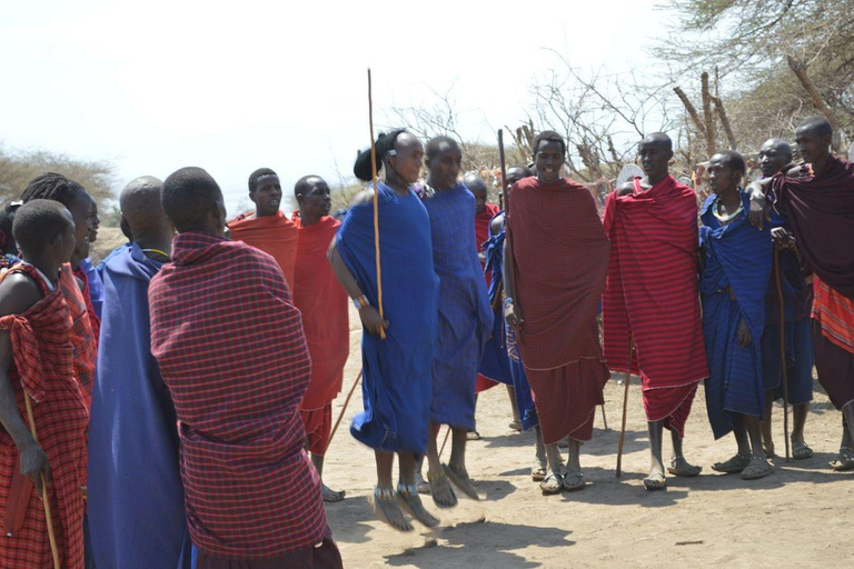 EXCURSION D&#039;UNE JOURNÉE DANS UN VILLAGE MASAI