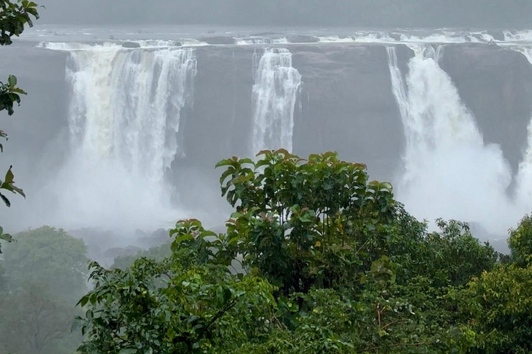 Kochi: Athirappilly Waterfalls Overnight Tour with Transfer