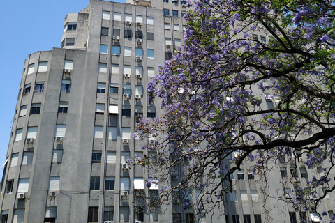 Full Day Tour with a Cultural Perspective + Palacio Barolo