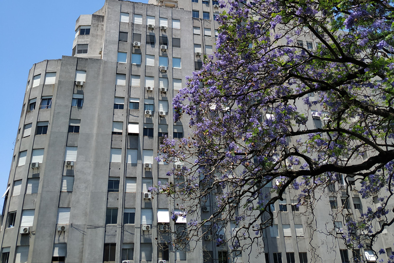 Full Day Tour with a Cultural Perspective + Palacio Barolo