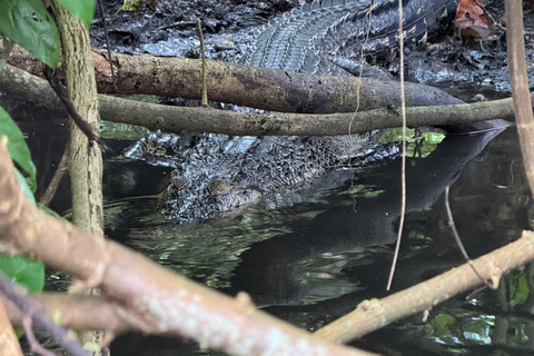 Koggala Lake Guided Boat Safari with Hotel Pickup & Drop Off