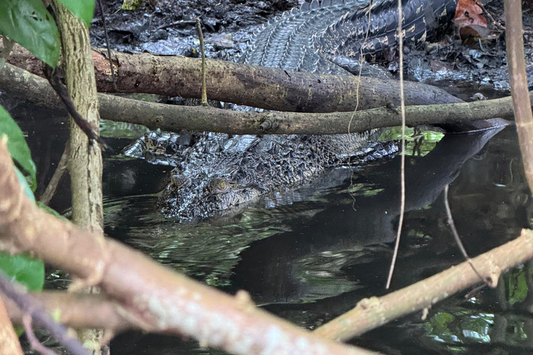 Koggala Lake Guided Boat Safari with Hotel Pickup & Drop Off