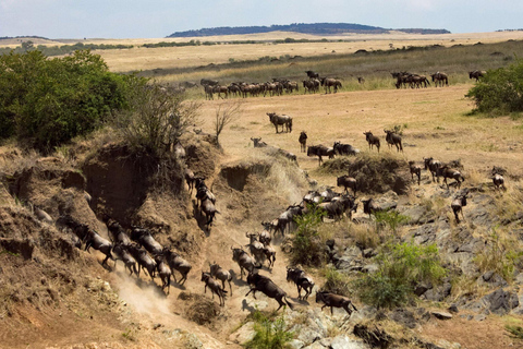 El mejor paquete de safari de 9 días por la vida salvaje de Tanzania