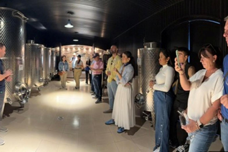 Besuch der Bodega FrippBESUCH DER BODEGA CERROS DE SAN JUAN