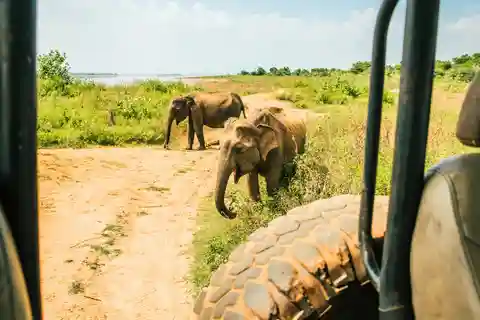 Sri Lanka: 5-Day Tour with Hill Country, Cultural Triangle