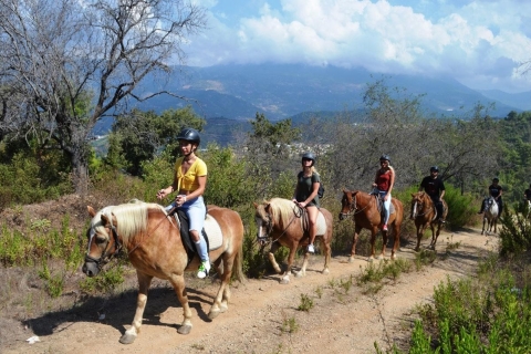 Alanya: Private Horse Safari Alanya: Private Horse Riding Without Transfer