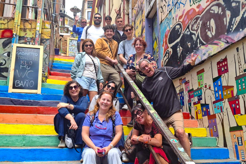 Santiago: Valparaíso Cruise Port Transfer & Vineyard Tour