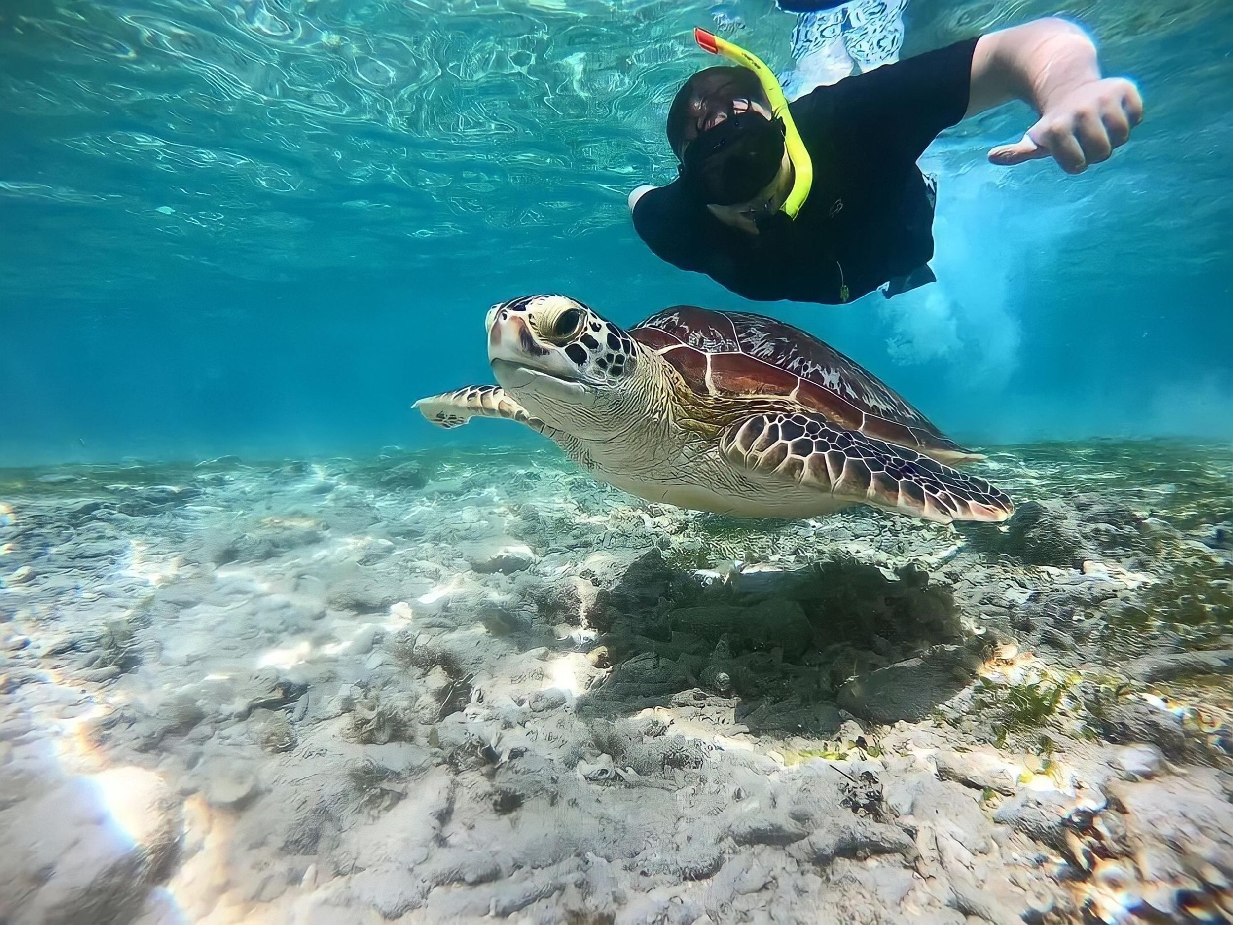 Gili Inseln: Private Bootstour zum Schnorcheln mit ortskundigem Guide